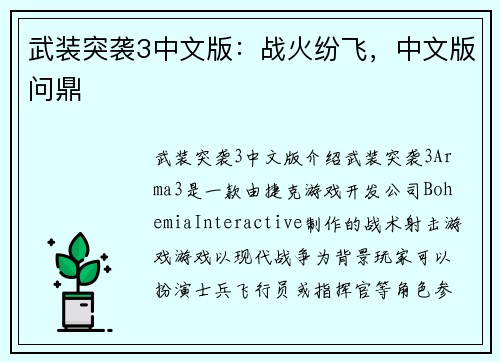 武装突袭3中文版：战火纷飞，中文版问鼎