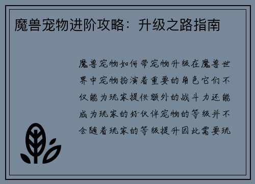 魔兽宠物进阶攻略：升级之路指南
