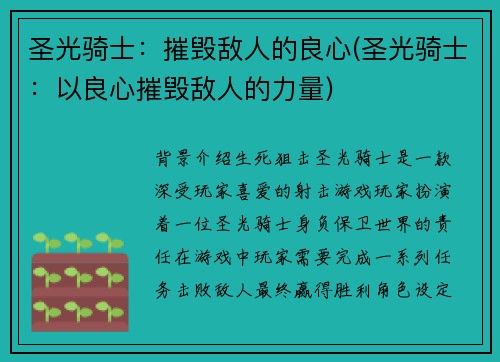 圣光骑士：摧毁敌人的良心(圣光骑士：以良心摧毁敌人的力量)